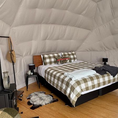 Takahuri Glamping Domes Whanganui Dış mekan fotoğraf